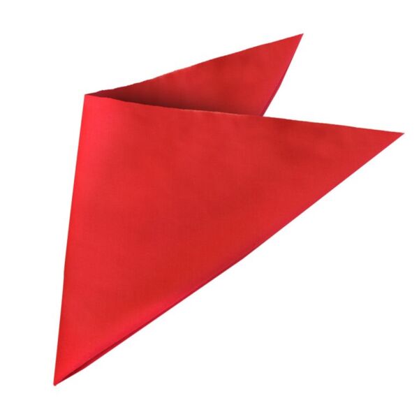 Bandanna Thumbnail