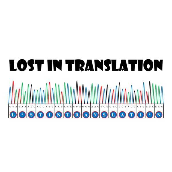 Sangerism - Lost in translation Thumbnail