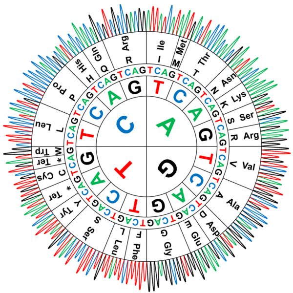 Sanger Codon Circle Thumbnail
