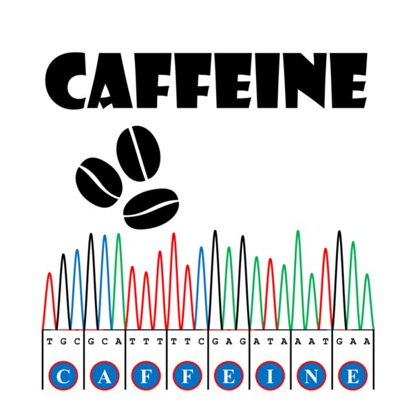 Sangerism - Caffeine Thumbnail