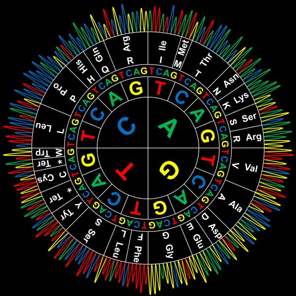 Sanger Codon Circle - dark background Thumbnail